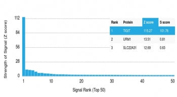Analysis of HuProt(TM) microarray containing more than 19,000 full-length human proteins using TIGIT