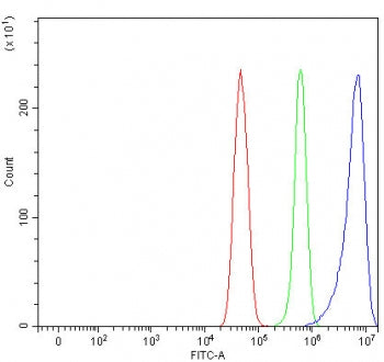 Flow cytometry testing of fixed and permeabilized human U-251 cells with NECAB3 antibody at 1ug/mill