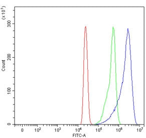 SCYL1 Antibody /&nbsp;N-terminal kinase-like protein