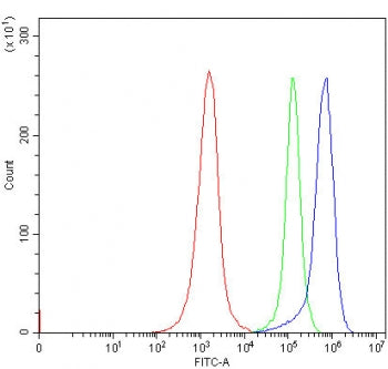 FATP5 Antibody / SLC27A5 / BAL