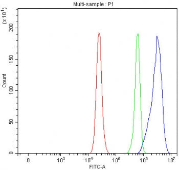 Flow cytometry testing of fixed and permeabilized human RT4 cells with MPPE1 antibody at 1ug/million