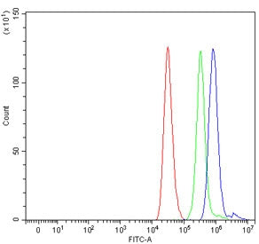 Flow cytometry testing of human ThP-1 cells with TAF1 antibody at 1ug/million cells (blocked with go