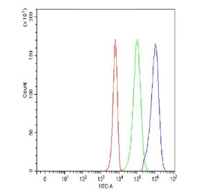 Flow cytometry testing of fixed and permeabilized human K562 cells with MICB antibody at 1ug/million