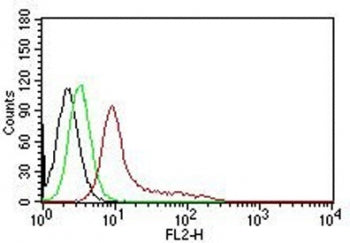 Ku70 + Ku80 Antibody