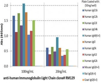ELISA of human immunoglobulins shows recombinant Human Ig Light Chains antibody reacts to both kappa