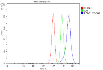 Flow Cytometry analysis of MCF-7 cells using anti-POMT1 antibody. Overlay histogram showing MCF-7 ce