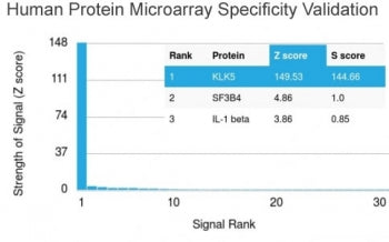 Analysis of HuProt(TM) microarray containing more than 19,000 full-length human proteins using KLK5 