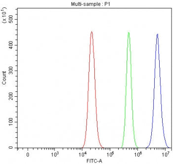 P15RS Antibody / RPRD1A