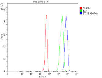 Flow Cytometry analysis of 293T cells using anti-STX16 antibody. Overlay histogram showing 293T cell