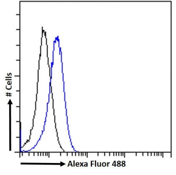 FACS testing of fixed and permeabilized human HeLa cells with RGS14 antibody (blue) at 10ug/ml and n