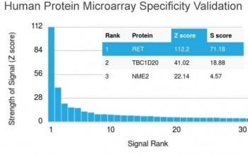 Analysis of HuProt(TM) microarray containing more than 19,000 full-length human proteins using RET a