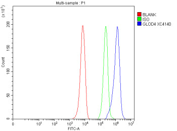 Flow Cytometry analysis of HepG2 cells using anti-GLOD4 antibody. Overlay histogram showing HepG2 ce