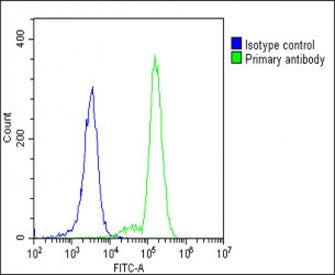 MyD88 antibody flow cytometric analysis of fixed and permeabilized human K562 cells (green) compared