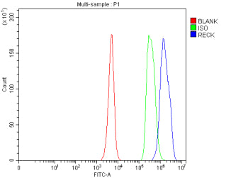 Flow Cytometry analysis of human JK cells using anti-RECK antibody. Overlay histogram showing JK cel