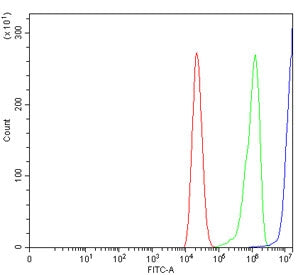 Flow cytometry testing of human Caco-2 cells with CD171 antibody at 1ug/million cells (blocked with 