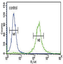 Flow cytometry testing of human HEK293 cells with Inhibin alpha antibody; Blue=isotype control, Gree