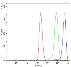 Spartin Antibody / SPART