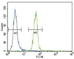 FYN antibody flow cytometric analysis of HeLa cells (right histogram) compared to a negative control