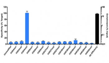 SNAP-ChIP (TM) / qPCR using anti-H3K4me3 antibody. Antibody (3 ug at 17 ug/ml) was tested in native 