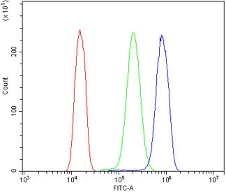 Flow cytometry testing of human A431 cells with EPS15 antibody at 1ug/million cells (blocked with go