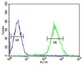 FOXP3 antibody flow cytometric analysis of HepG2 cells (right histogram) compared to negative contro