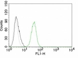 Flow cytometry test of Jurkat cells. Black: cells alone; Grey: isotype control; Green: AF488-labeled