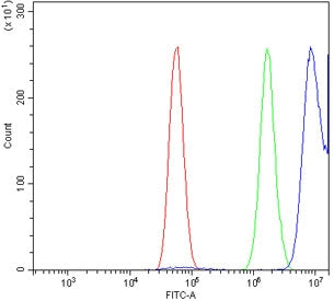 SGT1 Antibody / ECD