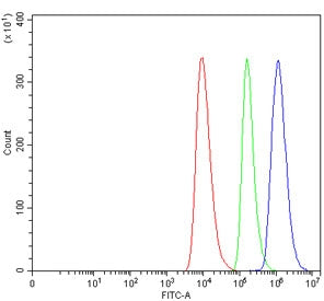 CD28 Antibody