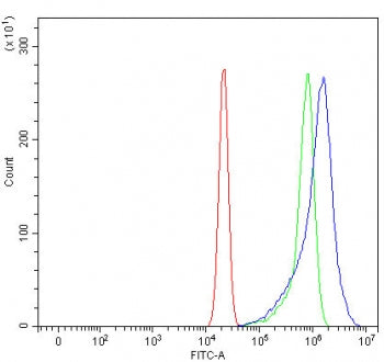 RASGRP1 Antibody / RAS guanyl-releasing protein 1
