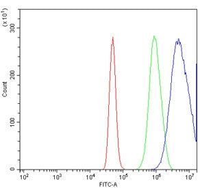 Flow cytometry testing of human A431 cells with Proteasome subunit beta type-6 antibody at 1ug/milli