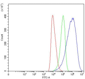 Flow cytometry testing of human HEL cells with USP9X antibody at 1ug/million cells (blocked with goa