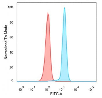 CDC5L Antibody