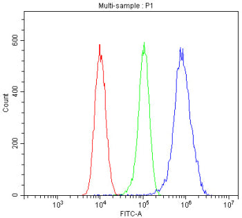 Western blot testing of human 1) Caco-2, 2) HEK293, 3) U-2 OS, 4) HeLa, 5) A549, 6) U-87 MG, 7) rat 