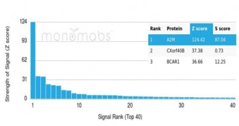 Analysis of a HuProt(TM) microarray containing more than 19,000 full-length human proteins using Alp