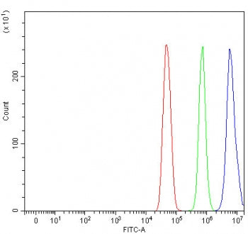 Flow cytometry testing of fixed and permeabilized human U-251 cells with L3MBTL3 antibody at 1ug/mil