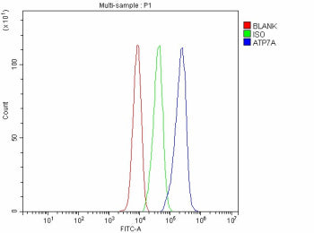 Flow Cytometry analysis of HepG2 cells using anti-ATP7A antibody. Overlay histogram showing HepG2 ce
