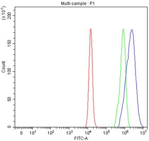 Flow cytometry testing of fixed human U-2 OS cells with Protocadherin alpha 12 antibody at 1ug/milli