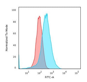 Flow testing of fixed and permeabilized human HeLa cells with Annexin A1 antibody (clone 5E4/1). Red