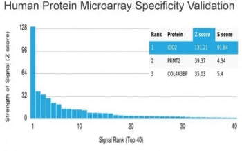 Analysis of HuProt(TM) microarray containing more than 19,000 full-length human proteins using INDOL