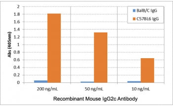ELISA of IgG from BalB/C and C57BL6 shows the recombinant Mouse IgG2c antibody reacts to C57BL6 IgG 