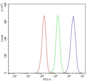 Flow cytometry testing of human JK-1 cells with VLDL Receptor antibody at 1ug/million cells (blocked