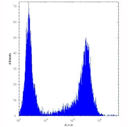 HES1 antibody flow cytometric analysis of U251 cells (right histogram) compared to a negative contro