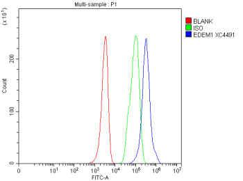 Flow Cytometry analysis of HEL cells using anti-EDEM1 antibody. Overlay histogram showing HEL cells 