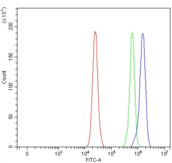 Flow cytometry testing of fixed and permeabilized human RT4 cells with PTP-MEG2 antibody at 1ug/mill
