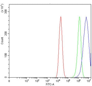 Flow cytometry testing of human Caco-2 cells with Caspase-9 antibody at 1ug/million cells (blocked w