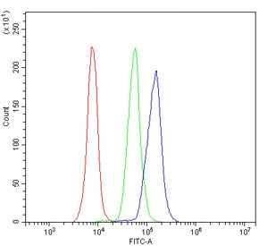 CD4 Antibody