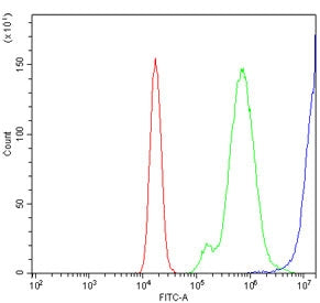 Flow cytometry testing of human Raji cells with CD20 antibody at 1ug/million cells (blocked with goa