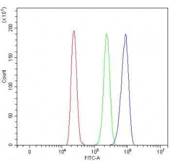 RASAL2 Antibody / NGAP