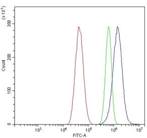 Flow cytometry testing of human U-87 MG cells with Kir5.1 antibody at 1ug/million cells (blocked wit