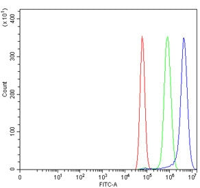 AGO1 Antibody / Argonaute 1